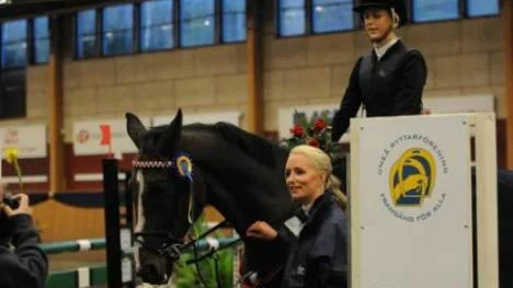 Johanna Sandberg på hästen Milford vann Norrlandsfinalen och får åka till riksfinalen i Globen om en månad.
