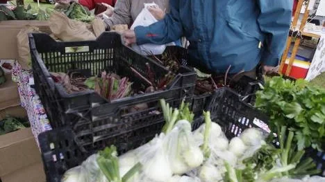 En påse potatis och ett knippe broccoli blev dagsfångsten för Rolf Nyström på Landsbygdsdagen i lördags.