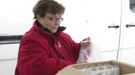 Lis-Marie Åström från Lövånger är pensionär men åker ändå på några närbelägna marknader under sommaren.