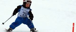 Nio dubbelsegrare i Lilla Inlandsspelen