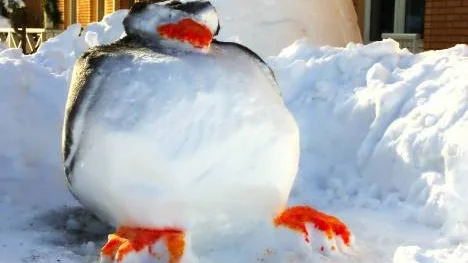 Snöskulpturer - ett nytt inslag i miljön kring Framnäs folkhögskola.Daniel Oscarsson och Jens Andersson är helt på det klara med att deras skapelse föreställer en pingvin, men deras klasskompisar hävdar att det är upp till betraktaren. Från sidan ser den ännu roligare ut.