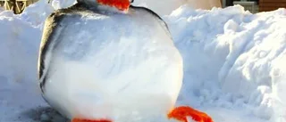 Skulpterat vintertema