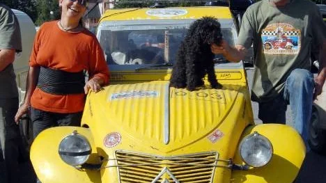 Ben och Gimou Azam har tagit med hunden Mesalina på resan.