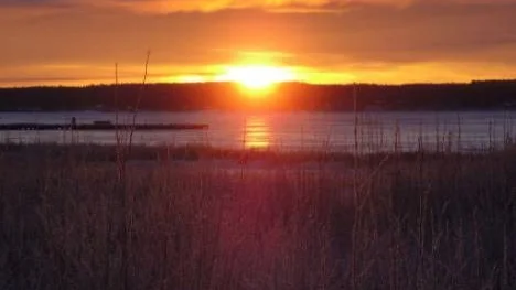 Decembervy från Skuthamn. Solen orkar knappt upp över horisonten, men snart vänder det ...