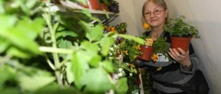 Färgrik vårmässa bjöd på sommarinspiration