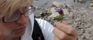 Jim slukade naturläran som ung skolpojke