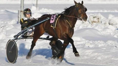 Petter Lundberg var en av två hemmakuskar som vann en dubbel under annandagen. På bilden ses Petter med överlägsne segraren i lopp 10, hästen Nimbus Nick.
