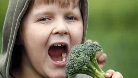 William Johansson, 8 år, från Tärendö gillar broccoli och alla sorters grönsaker.