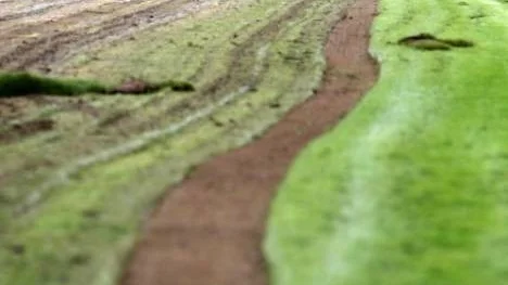 "Osthyveln", maskinen som skalar av gräset i 2,5 meter långa remsor, dras av en traktor i sakta mak, inte mycket mera än gånghastighet.