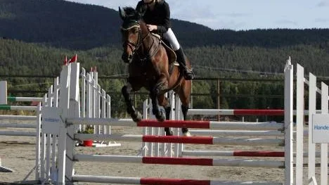 Carolina Berggren var den enda Älvsbybon som tävlade under söndagen. Hon kom till slut trea i 1.10-klassen med hästen Kelly.