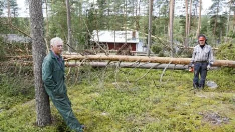 Bröderna Robert och Rolf Hedström i Altersbruk iakttog förödelsen och hade så mått börjat röja upp dagen efter att tromben slagit till. Tromben drog fram i nordöstra delen av kommundelen på eftermiddagen torsdagen den 31 juli. (Arkivbild)