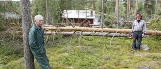 Uppstädning efter tromben
