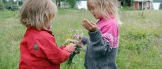 Välbesökt Laukerdag fylld av aktiviteter
