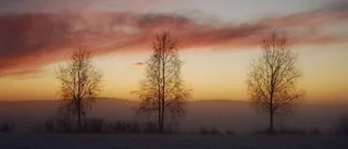 Dagens väderbild