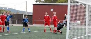 Mardrömsstarten sänkte Arjeplog
