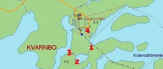 Allmänningen vill tjäna miljoner på Arjeplogsströmmarna