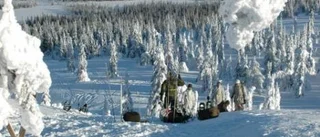 Farlig lek i lavinbranter