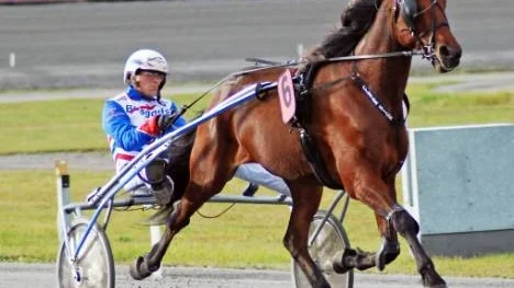 Ove A Lindqvist vann V 64-4 med storskrällen Groucho och plockade in en pinne på Petter Lundberg i körsvensligan. (Arkivbild)
