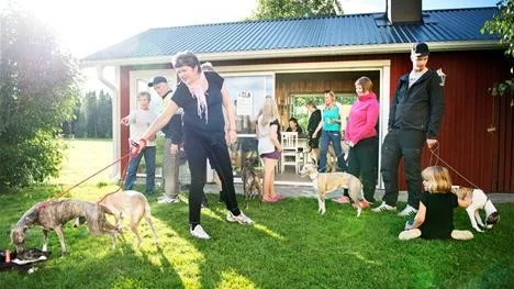 STORT INTRESSE. Totalt 22 hundar tränade och sprang licenslopp då den efterlängtade tävlingsformen lure coursing hade nypremiär.