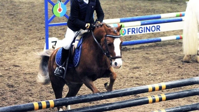 DEBUTANT. Maja Larsson, Luleå Ridklubb. hoppar med ponnyn Mini. Larsson som feltog i sin första ridtävling någonsin var nöjd med både hennes och ponnyns insats.