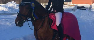 Dressyrtävling i Luleå