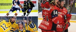 VIK-produkten klar för Vita Hästens nysatsning i division 3