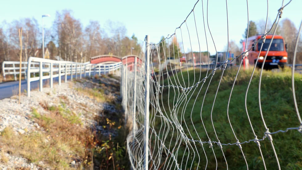 Viltstängslet i Kopparnäs har rätats upp och satts fast i stolparna.