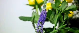 Kransen en del av midsommar