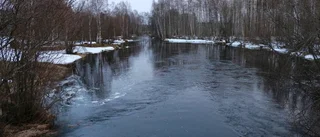 Älven rustas för två miljoner