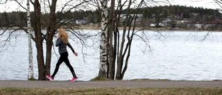 Årets pollensäsong är i full gång