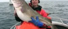 Norge - väl värt en fiskeresa