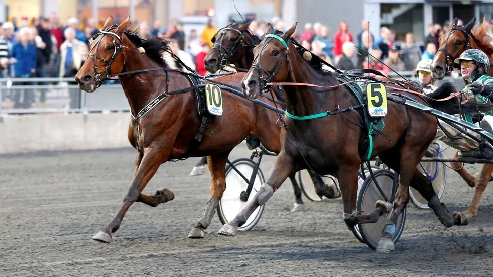 Vinnare. Kenneth Haugstad med invändige Usain Swing vann den prestigefyllda Björnkampen och därmed det åtråvärda björnspjutet.