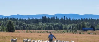 Mikaels kapellbygge skapar möten