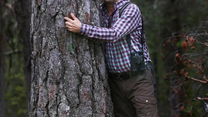 Den grova barken visar att trädet är mycket gammalt. Urskogar som fått stå orörda i tusentals år hyser arter som inte överlever i andra miljöer. Mats Karström, biolog, har ägnat sitt liv åt att försöka skydda de här miljöerna. Han berättar att han känner en stor sorg när urskogarna försvinner och att det är jobbigt att ha ett kritiskt förhållningssätt. - Det vore enklare om man inte såg allt, men jag hade ju inte velat gå blind genom livet heller.
