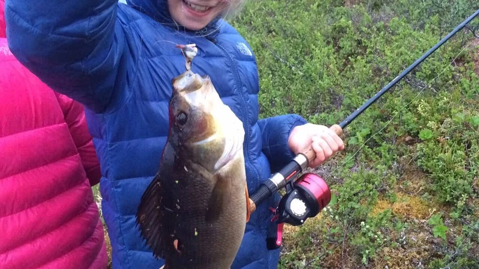Systrarnas fiskelycka. Först fick Angelina, 9, en abborre på 1300 gram. Sedan fick lillasyster Alicia, 8, en jätteabborre på 1560 gram i abborrsjön utanför  Idivuoma.