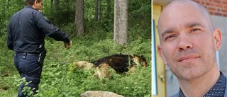 Miljonkrav mot 15-åringen efter mordförsöket och grova våldtäkten • Senaste nytt om flickans hälsoläge – tre läkare ska vittna om hennes skador