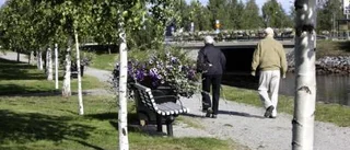 Stadsparken inspirerar än