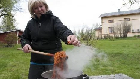 Kesufärgat garn. Ellenor Nilsson visade hur den indiska blomman kesu gör garnet orange. Andra nystan i hennes garnkorg hade färgats med kottar, rallarros och lök.