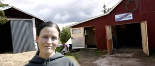 Tre Piteåsegrar på Peabtravet