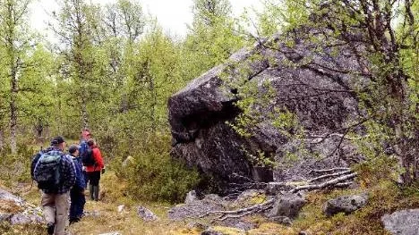 Midsommarvandring i Pieljekaise nationalpark.