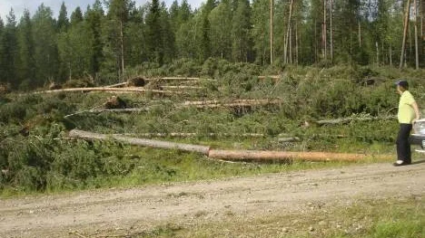 Det var mest troligt en tromb som ödelade 1,5 hektar skog efter Sandbergsvägen, vid Nyvall 25 kilometer söder om Arvidsjaur. Henry Isaksson från Arvidsjaur tog bilden när träden på vägen var bortforslade och han kunde ta sig till gården i Sandträsk.