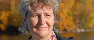 Kommunal tjänsteman avstängd