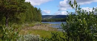 Dagens väderbild