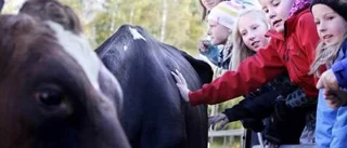 Nyttig lektion i det gröna