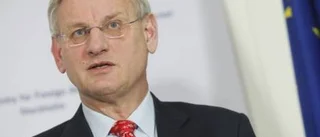 Bra att Bildt granskas