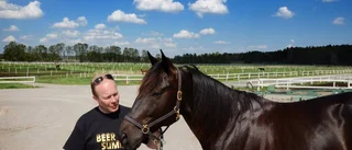 Salmela redo för Elitloppet