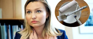 Från utomhusmålare – till vice statsminister • Här är Ebba Buschs väg till makten
