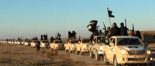 Sverige måste se över terrorlagstiftningen