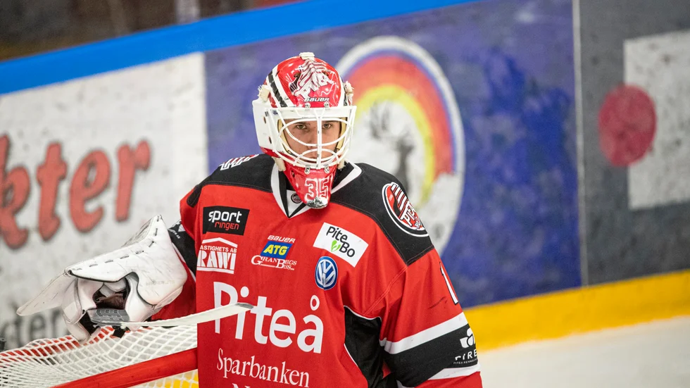 Albin Edlund är tillbaka i Piteå Hockey