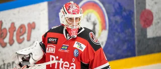 Piteå Hockey tar in ny målvakt 